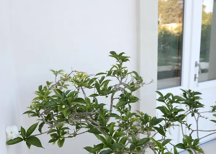 Podere 43 Charme Otranto